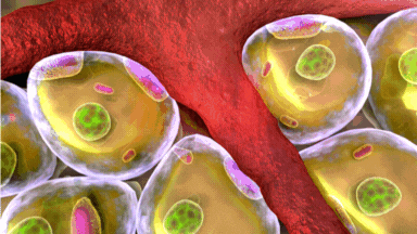 Mitolyn metabolism booster animated GIF showcasing weight loss benefits